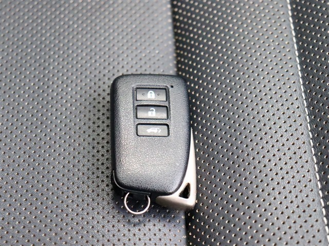 レクサス ＮＸ２００ｔ ２００Ｔ Ｆスポーツ ４ＷＤ H28年 (関東) 99