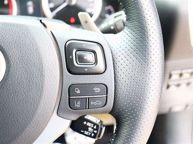 レクサス ＮＸ２００ｔ ２００Ｔ Ｆスポーツ ４ＷＤ H28年 (関東) 99