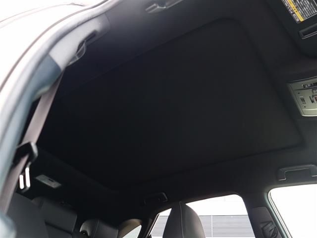 レクサス ＮＸ２００ｔ ２００Ｔ Ｆスポーツ ４ＷＤ H28年 (関東) 99