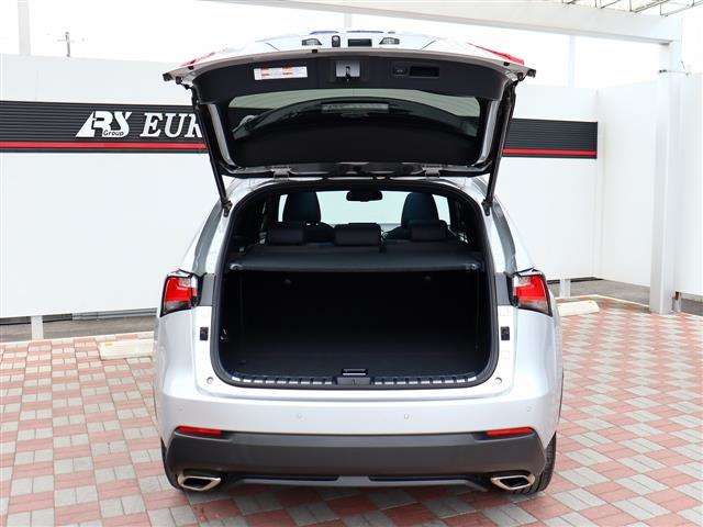 レクサス ＮＸ２００ｔ ２００Ｔ Ｆスポーツ ４ＷＤ H28年 (関東) 99