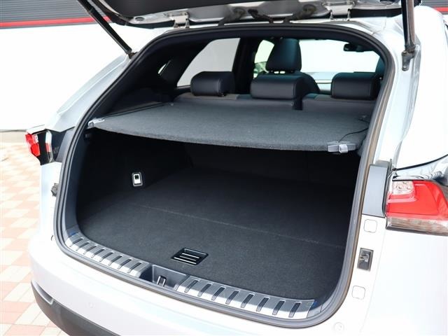 レクサス ＮＸ２００ｔ ２００Ｔ Ｆスポーツ ４ＷＤ H28年 (関東) 99