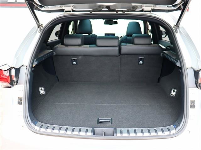 レクサス ＮＸ２００ｔ ２００Ｔ Ｆスポーツ ４ＷＤ H28年 (関東) 99