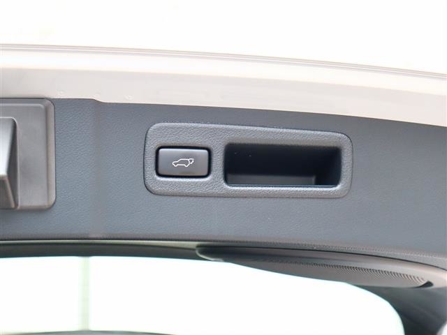 レクサス ＮＸ２００ｔ ２００Ｔ Ｆスポーツ ４ＷＤ H28年 (関東) 99