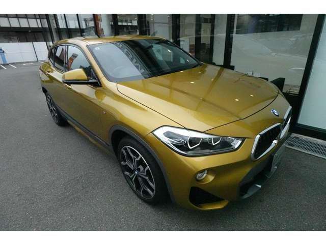 ＢＭＷ Ｘ２ Ｘドライブ１８Ｄ ＭスポーツＸ ディーゼルターボ ４ＷＤ R1年 (近畿) 99