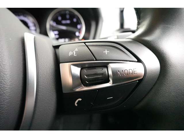 ＢＭＷ Ｘ２ Ｘドライブ１８Ｄ ＭスポーツＸ ディーゼルターボ ４ＷＤ R1年 (近畿) 99