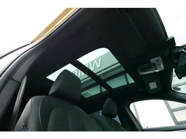 ＢＭＷ Ｘ２ Ｘドライブ１８Ｄ ＭスポーツＸ ディーゼルターボ ４ＷＤ R1年 (近畿) 99