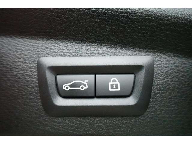 ＢＭＷ Ｘ２ Ｘドライブ１８Ｄ ＭスポーツＸ ディーゼルターボ ４ＷＤ R1年 (近畿) 99