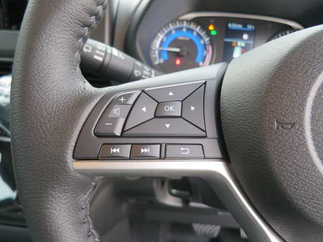 三菱 デリカ　ミニ ６６０ Ｇ プレミアム R7年 (関東) 99