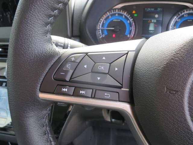 三菱 デリカ　ミニ ６６０ Ｇ プレミアム R7年 (関東) 99