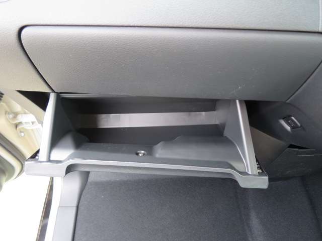 三菱 デリカ　ミニ ６６０ Ｇ プレミアム R7年 (関東) 99