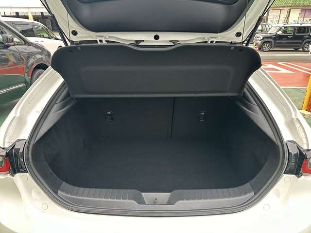 マツダ ＭＡＺＤＡ３　ファストバック ２．０ ２０Ｓ ブラックトーンエディション R4年 (東海) 99