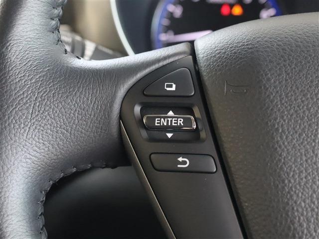 日産 エルグランド ２．５ ２５０ハイウェイスターＳ R1年 (東海) 99