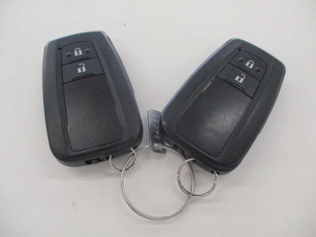 トヨタ プリウス １．８ Ａ プレミアム ツーリングセレクション R2年 (中国) 99