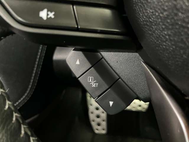 スバル フォレスター ２．５ プレミアム ４ＷＤ R2年 (北海道) 99