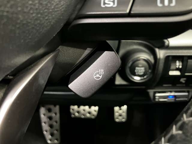 スバル フォレスター ２．５ プレミアム ４ＷＤ R2年 (北海道) 99