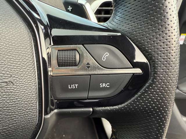プジョー ３００８ ＧＴ ブルーＨＤＩ ディーゼルターボ R1年 (東北) 99