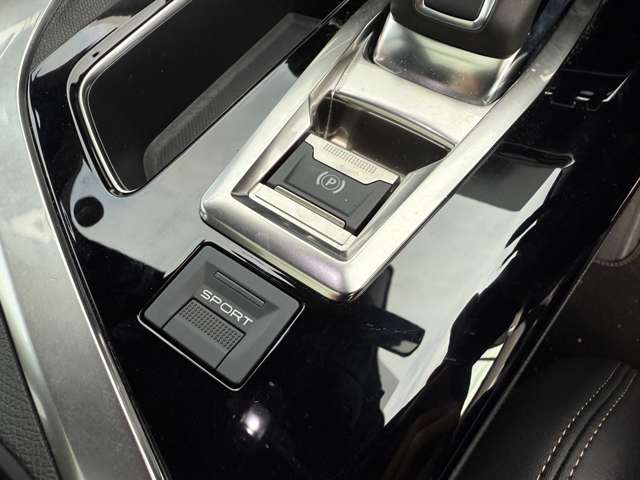 プジョー ３００８ ＧＴ ブルーＨＤＩ ディーゼルターボ R1年 (東北) 99