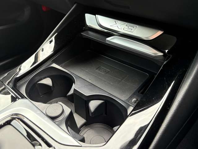 ＢＭＷ Ｘ３ Ｘドライブ２０Ｄ Ｘライン ディーゼルターボ ４ＷＤ H30年 (東北) 99