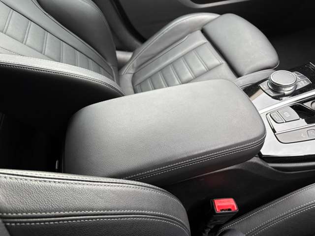 ＢＭＷ Ｘ３ Ｘドライブ２０Ｄ Ｘライン ディーゼルターボ ４ＷＤ H30年 (東北) 99