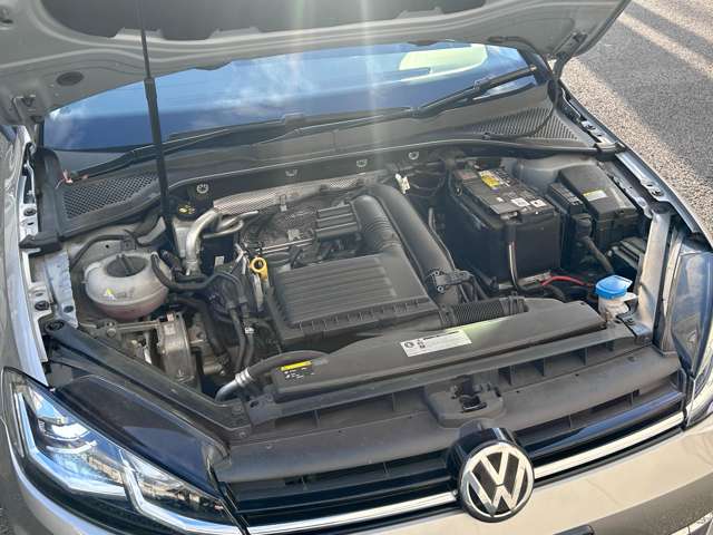 フォルクスワーゲン ゴルフヴァリアント ＴＳＩ　ハイライン H29年 (東北) 99