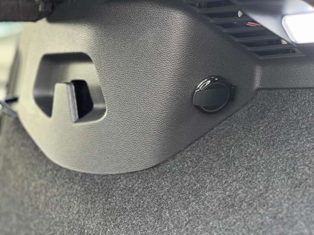 フォルクスワーゲン ゴルフ ｅＴＳＩ　アクティブ　プラチナム　エディション R5年 (近畿) 99