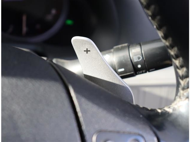 レクサス ＩＳ２５０ ２５０ バージョンＳ H18年 (関東) 99