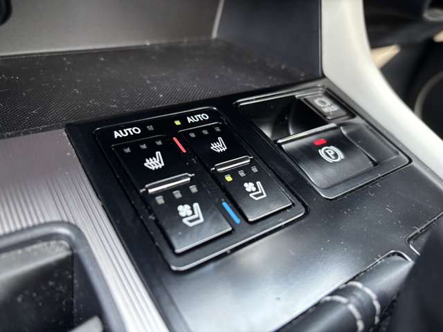 レクサス ＲＸ３００ ３００ Ｆスポーツ ４ＷＤ R2年 (東北) 99
