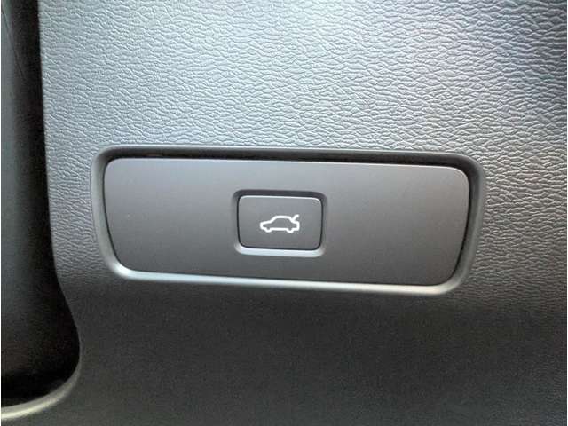 ボルボ ＸＣ４０ ウルトラ Ｂ４ ＡＷＤ ４ＷＤ R6年 (東北) 99