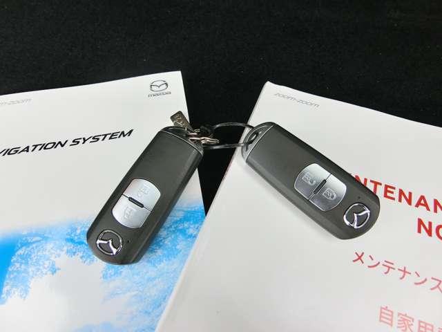 マツダ ＣＸ−５ ２．０ ２０Ｓ プロアクティブ H29年 (中国) 99