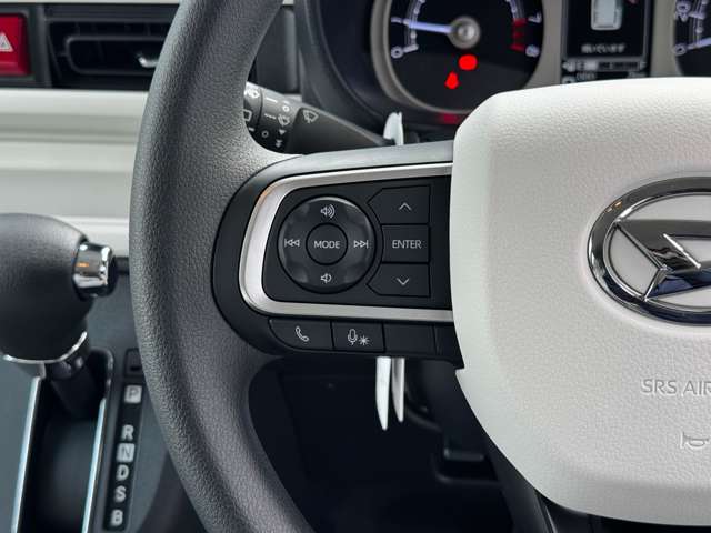 ダイハツ ムーヴ　キャンバス ６６０ ストライプス Ｇ R7年 (九州・沖縄) 99