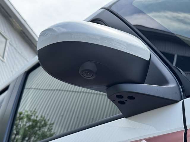 ダイハツ ムーヴ　キャンバス ６６０ ストライプス Ｇ R7年 (九州・沖縄) 99