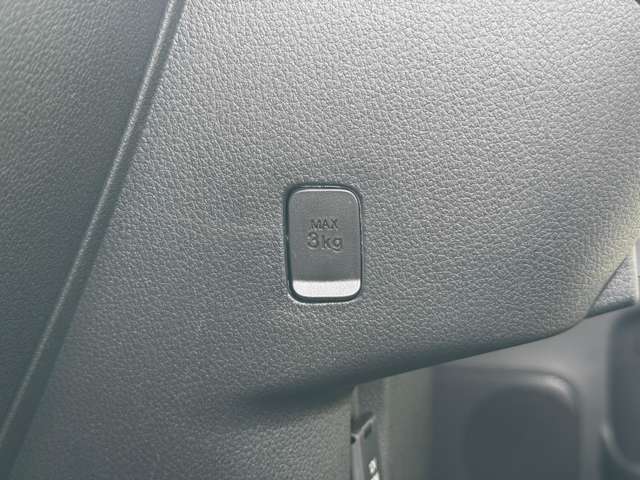 ダイハツ ムーヴ　キャンバス ６６０ ストライプス Ｇ R7年 (九州・沖縄) 99