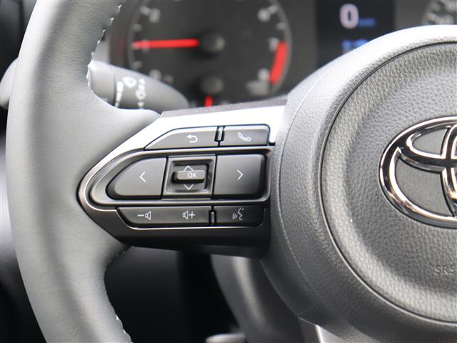 トヨタ ＧＲヤリス １．６ ＲＺ ハイ パフォーマンス モリゾウセレクション ４ＷＤ R6年 (関東) 99