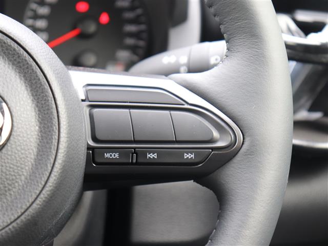 トヨタ ＧＲヤリス １．６ ＲＺ ハイ パフォーマンス モリゾウセレクション ４ＷＤ R6年 (関東) 99