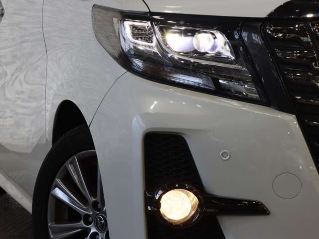 トヨタ アルファード ２．５ Ｓ Ａパッケージ タイプ ブラック ４ＷＤ H29年 (関東) 99