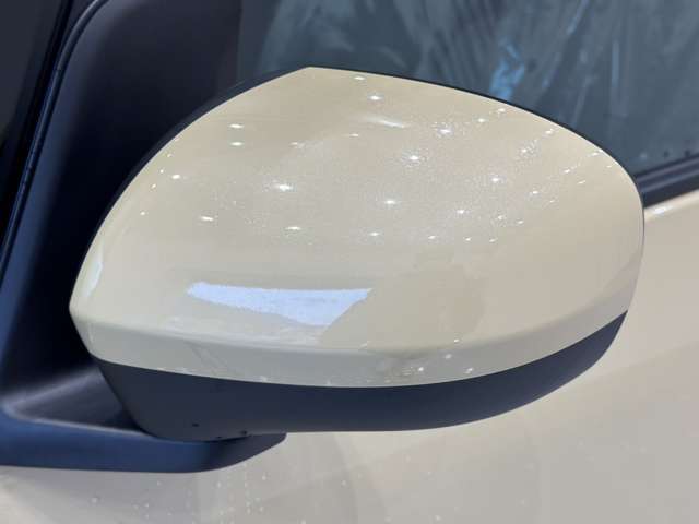 ダイハツ タント ６６０ Ｘ R5年 (中国) 99