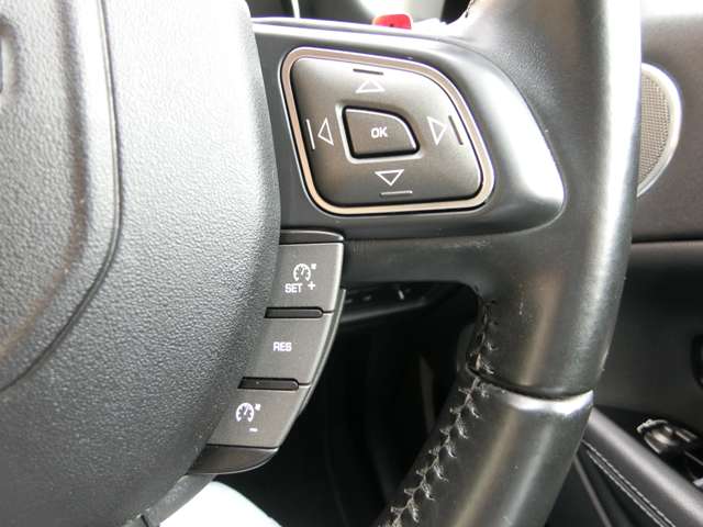 ランドローバー レンジローバーイヴォーク ＳＥ プラス ４ＷＤ H29年 (中国) 99