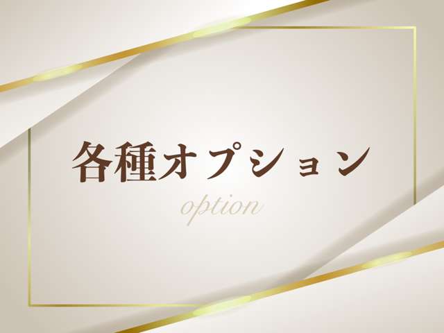 ホンダ シビック １．５ H30年 (関東) 99