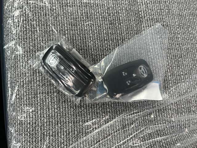 ダイハツ ムーヴ　キャンバス ６６０ ストライプス Ｘ R7年 () 99