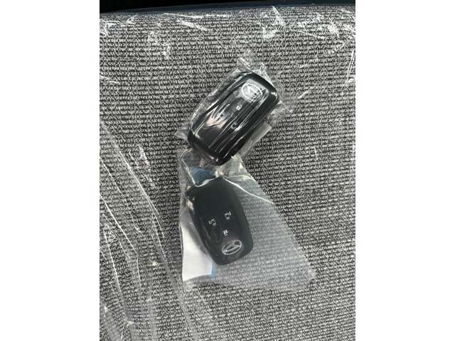 ダイハツ ムーヴ　キャンバス ６６０ ストライプス Ｘ ４ＷＤ R7年 () 99