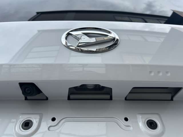 ダイハツ タフト ６６０ Ｘターボ ４ＷＤ R6年 () 99