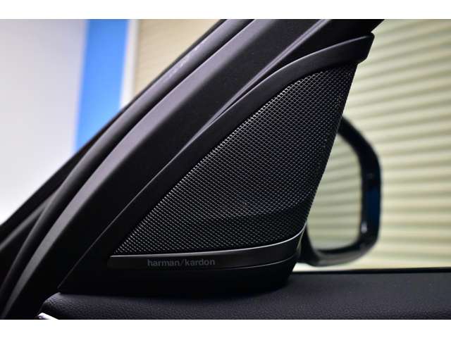 ＢＭＷ ５シリーズ ５３０Ｉ Ｍスポーツ R2年 (関東) 99