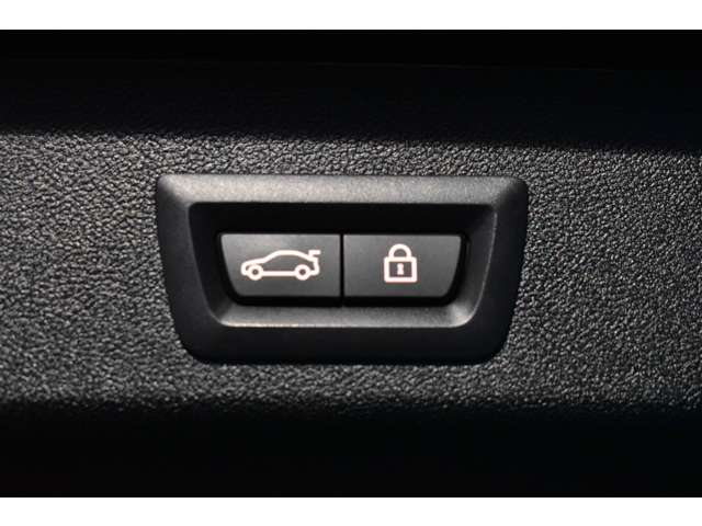 ＢＭＷ ５シリーズ ５３０Ｉ Ｍスポーツ R2年 (関東) 99