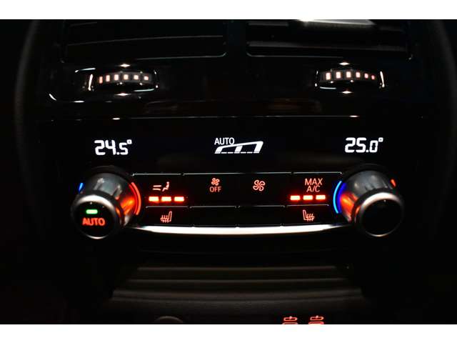 ＢＭＷ ５シリーズ ５３０Ｉ Ｍスポーツ R2年 (関東) 99