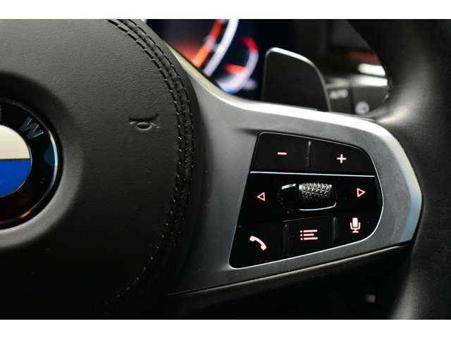 ＢＭＷ ５シリーズ ５３０Ｉ Ｍスポーツ R2年 (関東) 99