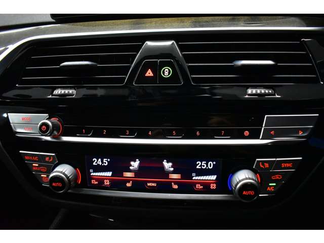 ＢＭＷ ５シリーズ ５３０Ｉ Ｍスポーツ R2年 (関東) 99