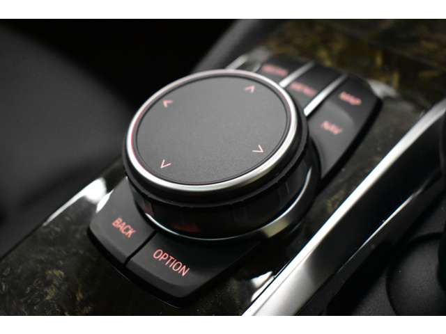 ＢＭＷ ５シリーズ ５３０Ｉ Ｍスポーツ R2年 (関東) 99