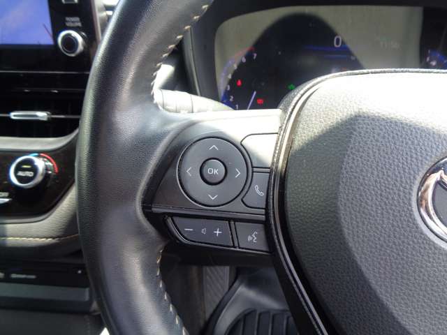 トヨタ カローラ　ツーリング　ハイブリッド １．８ ハイブリッド ＷＸＢ R3年 (中国) 99