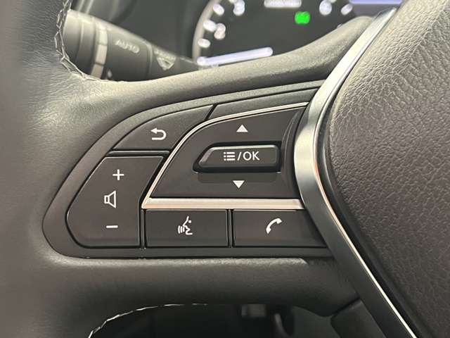 日産 スカイライン　ハイブリッド ３．５ ハイブリッド ＧＴ タイプＰ R3年 (関東) 99