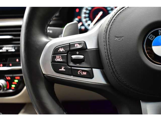 ＢＭＷ ５シリーズ ５３０ｉ　Ｍスポーツ H29年 (関東) 99